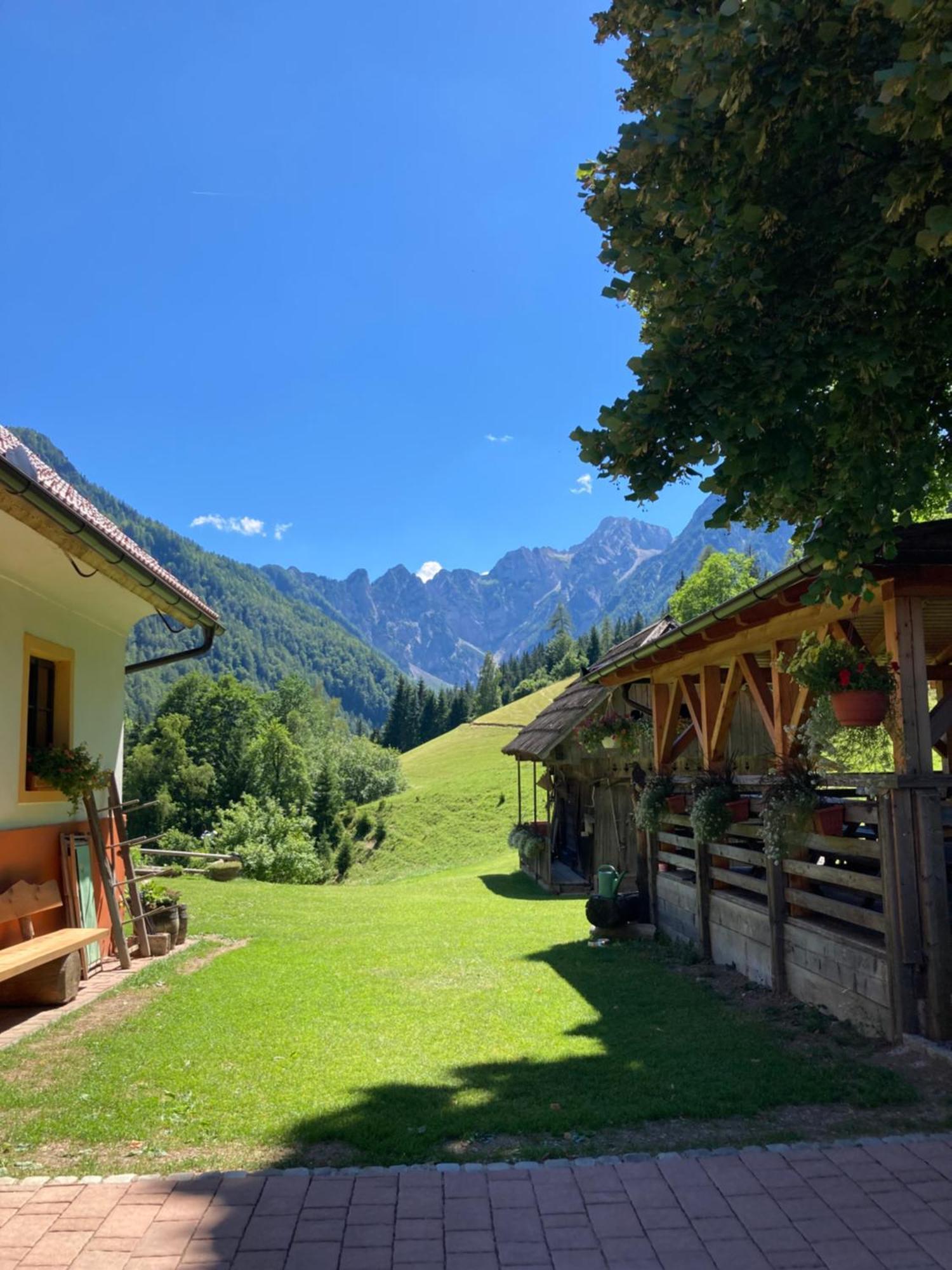 Апартаменти Tourist Farm Gradisnik Солчава Екстер'єр фото