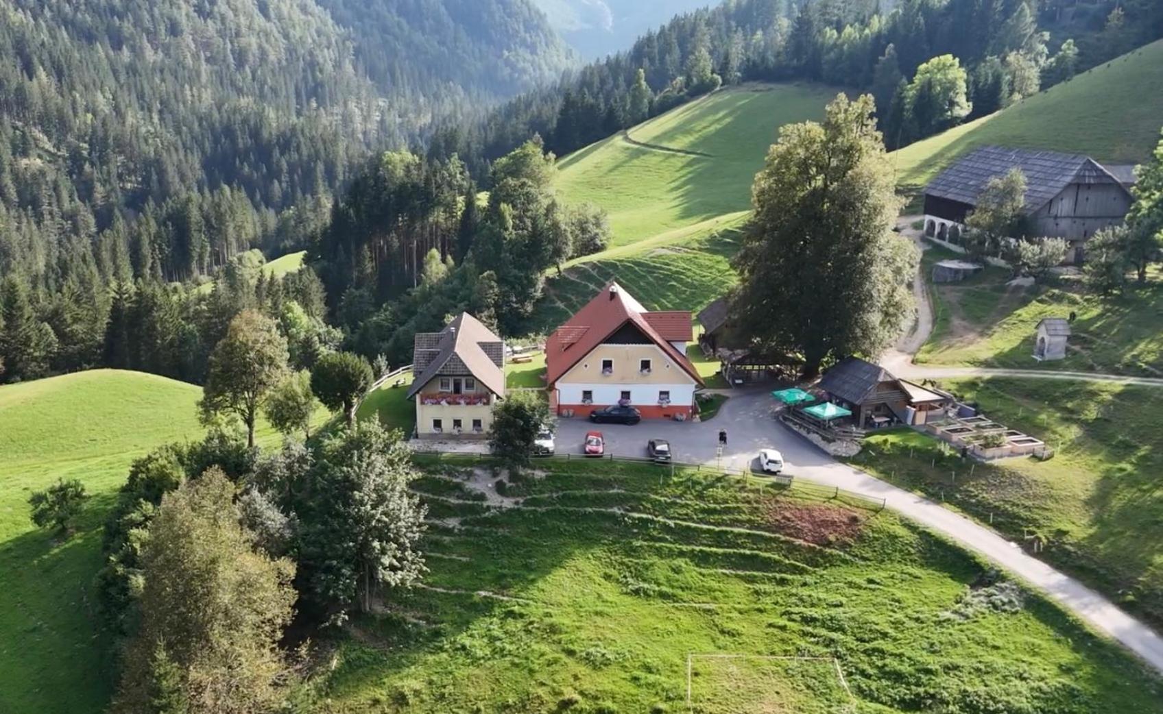 Апартаменти Tourist Farm Gradisnik Солчава Екстер'єр фото