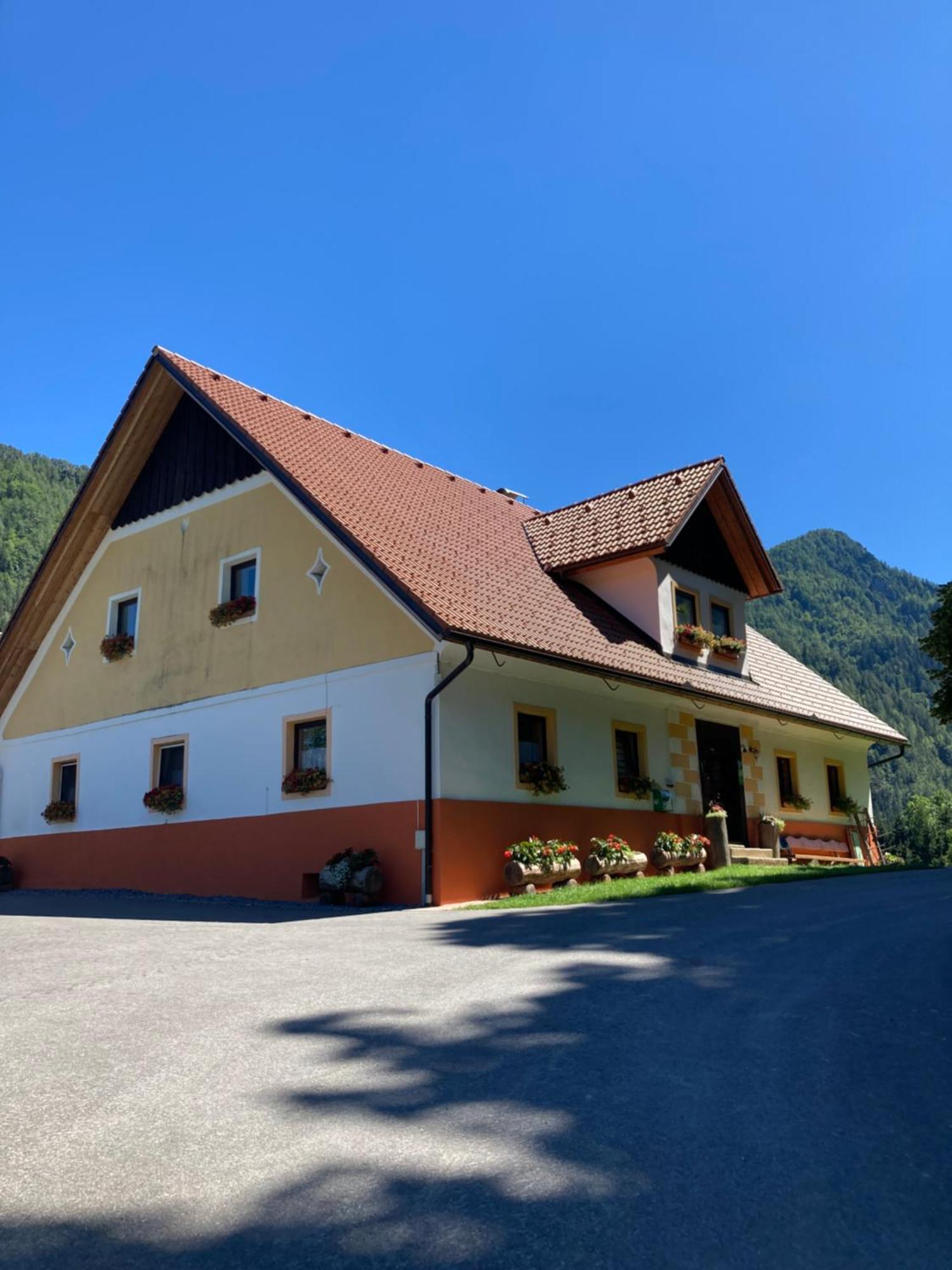 Апартаменти Tourist Farm Gradisnik Солчава Екстер'єр фото
