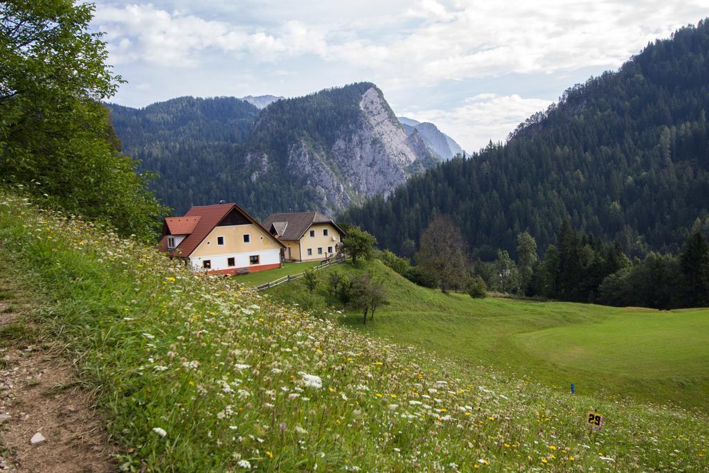 Апартаменти Tourist Farm Gradisnik Солчава Екстер'єр фото