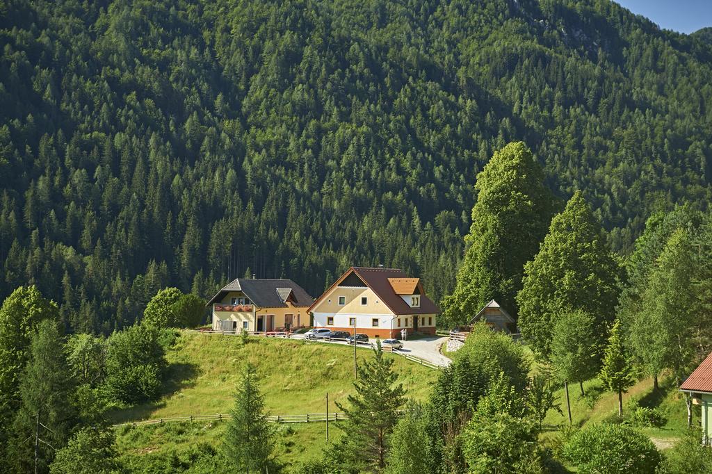 Апартаменти Tourist Farm Gradisnik Солчава Екстер'єр фото